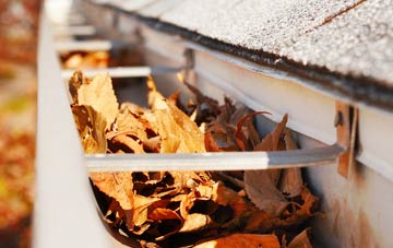 Hollington Grove gutter cleaning companies