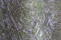 Hollington Grove fibreglass roof work